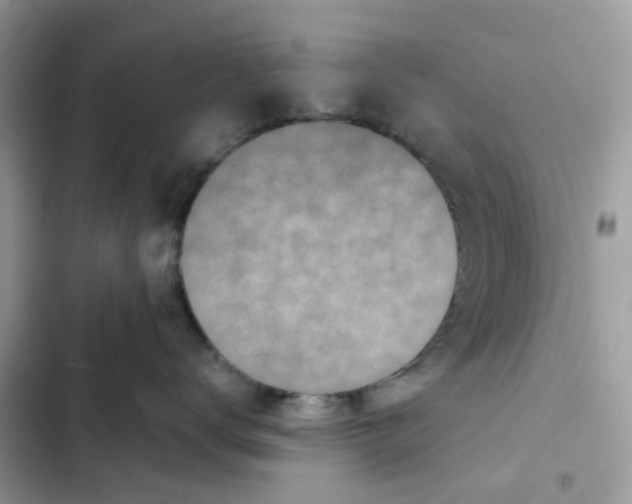 X0000101990672200808151425