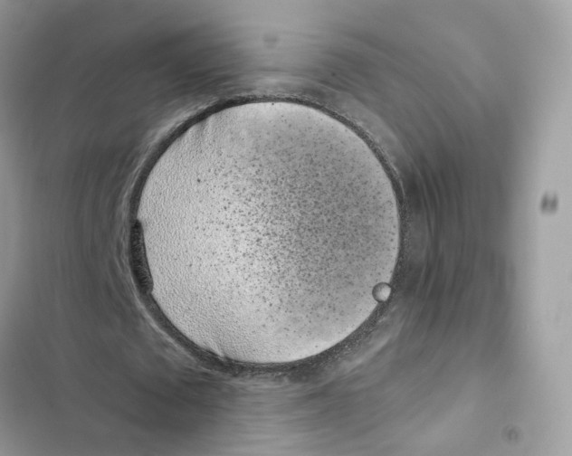 X0000101990673200808151424