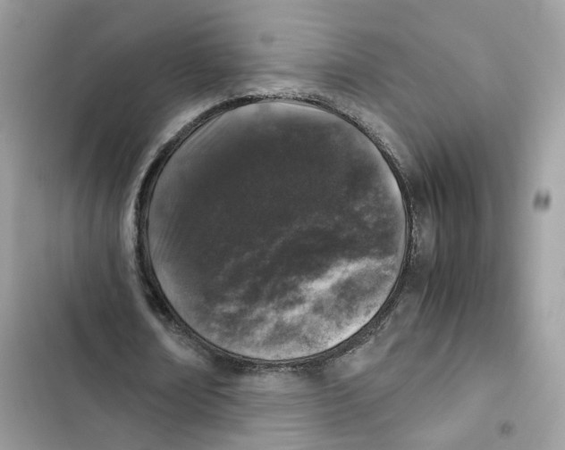 X0000101990674200808151424