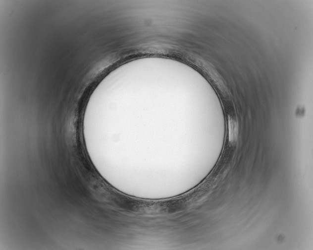 X0000101990675200808151424