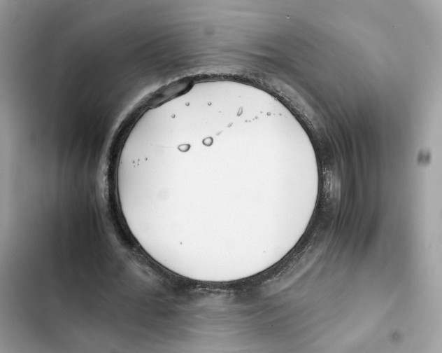 X0000101990676200808151424