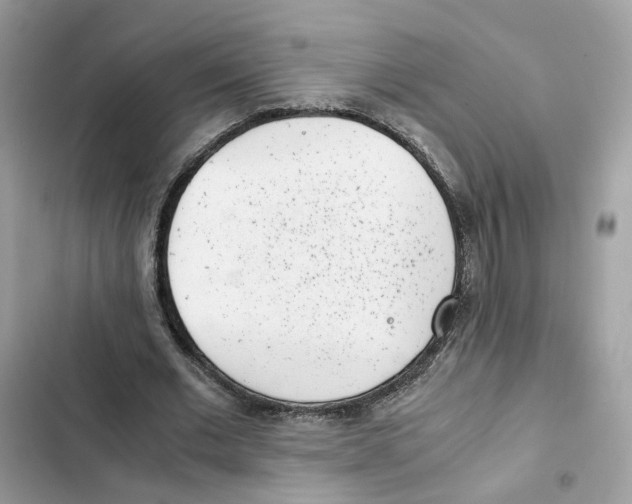 X0000101990677200808151424