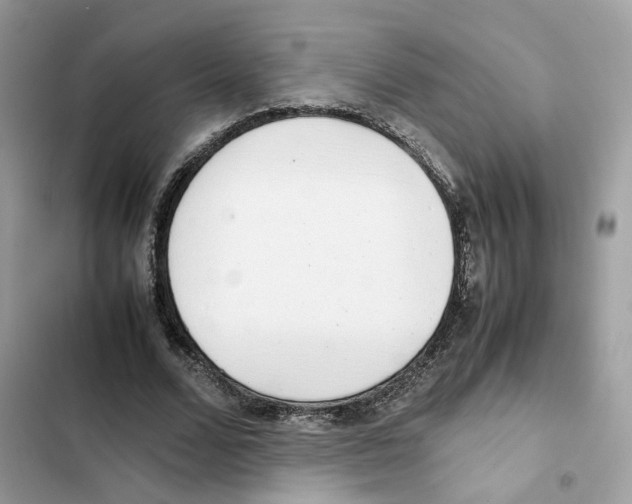 X0000101990680200808151424