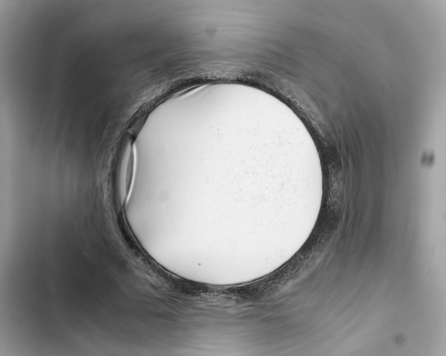 X0000101990681200808151424