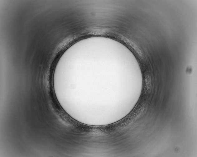 X0000101990682200808151424