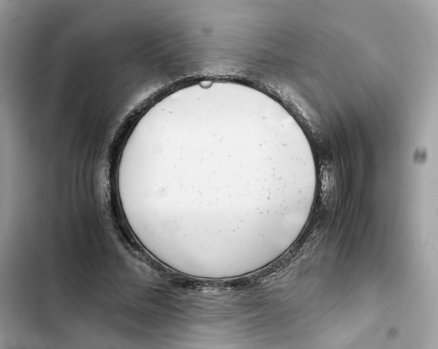 X0000101990684200808151424