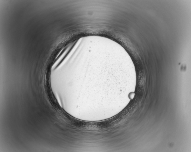 X0000101990685200808151424