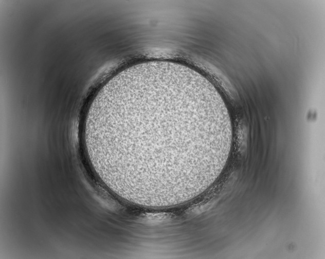 X0000101990686200808151424