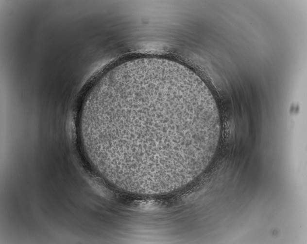 X0000101990688200808151424
