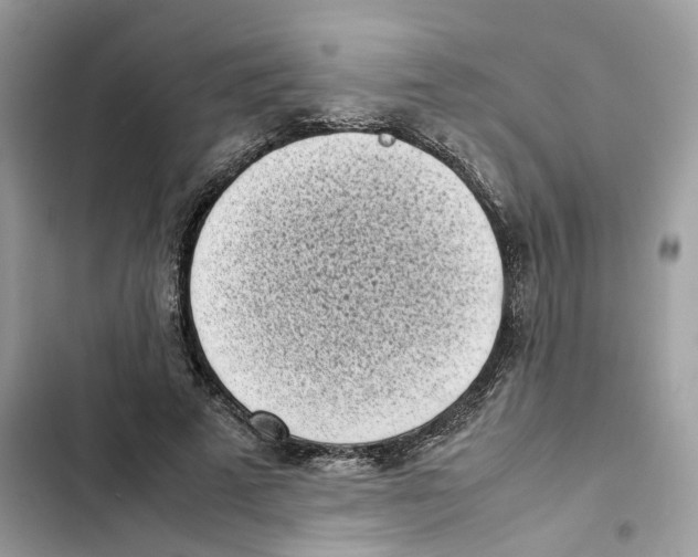 X0000101990689200808151424