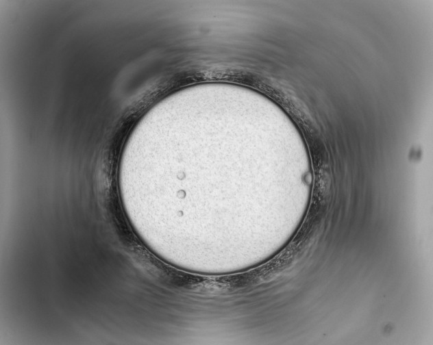 X0000101990691200808151424