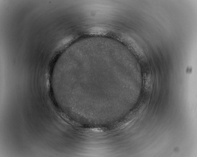 X0000101990692200808151424