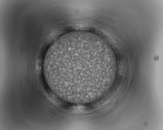 X0000101990695200808151424