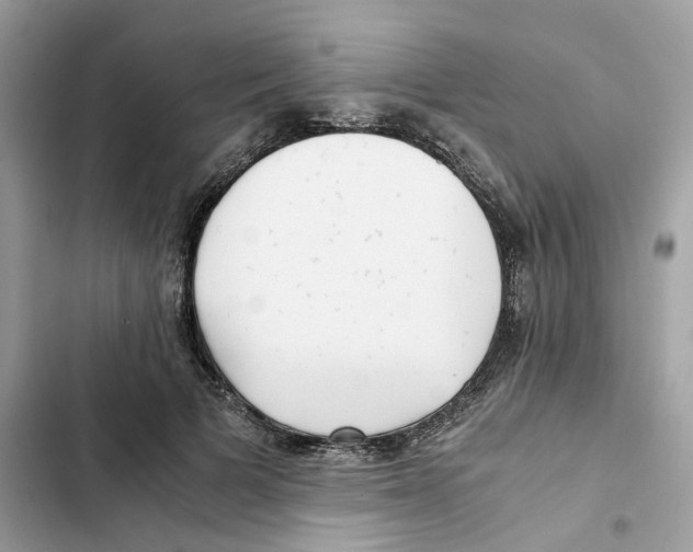 X0000101990697200808151424