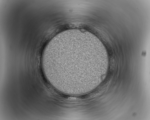 X0000101990699200808151424
