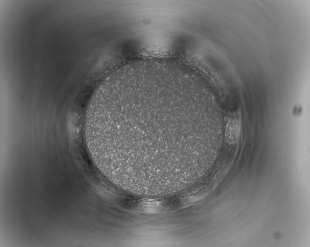 X0000101990701200808151424