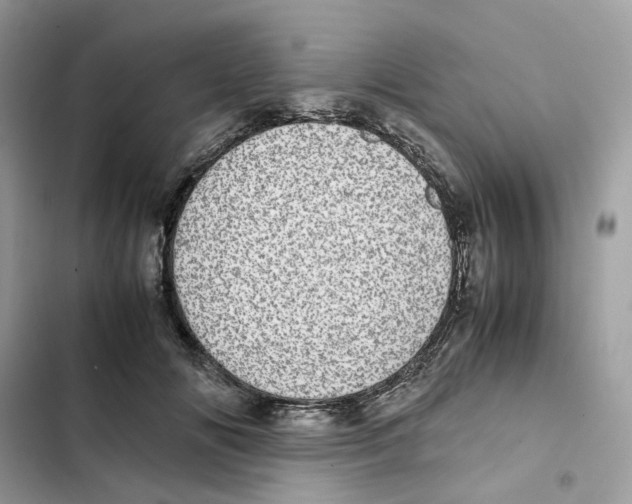 X0000101990702200808151424