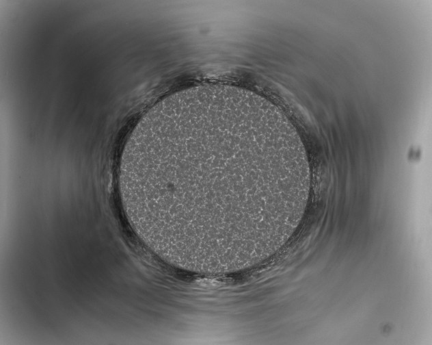 X0000101990703200808151424