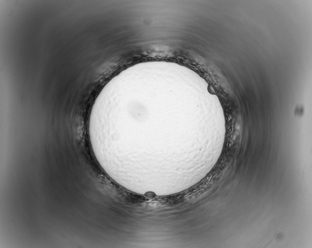 X0000101990704200808151424