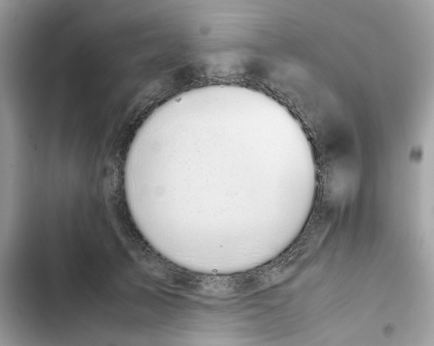X0000101990705200808151424