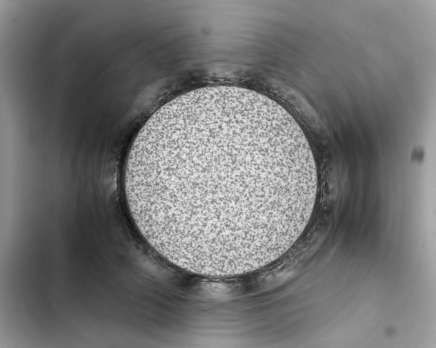 X0000101990706200808151424