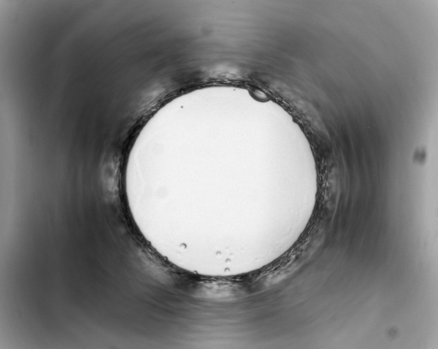 X0000101990708200808151424