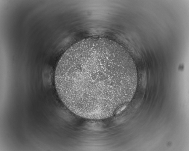 X0000101990712200808151424