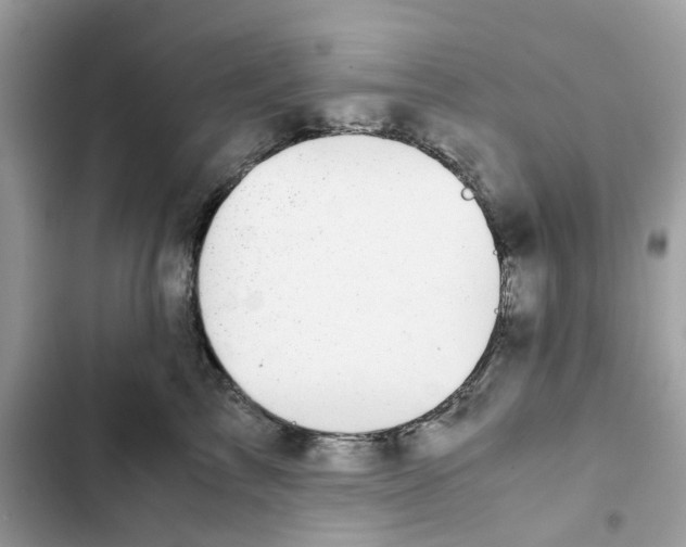 X0000101990713200808151424