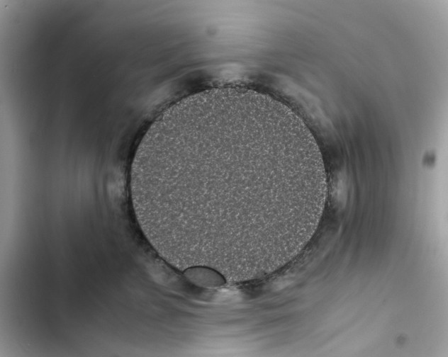 X0000101990715200808151424