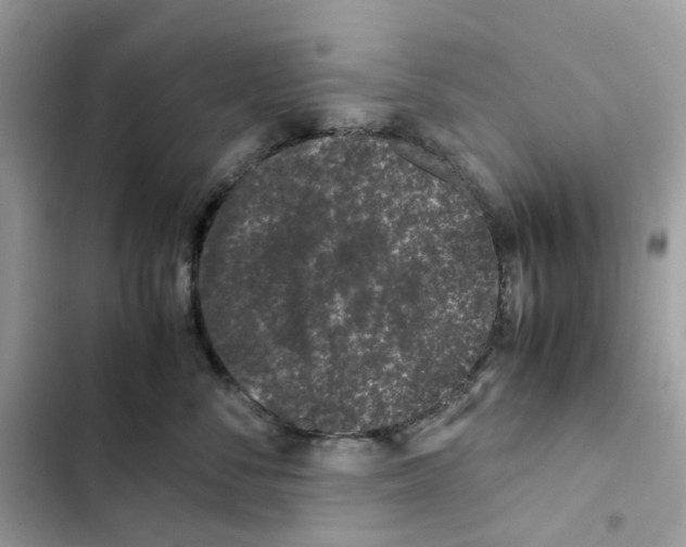 X0000101990716200808151424