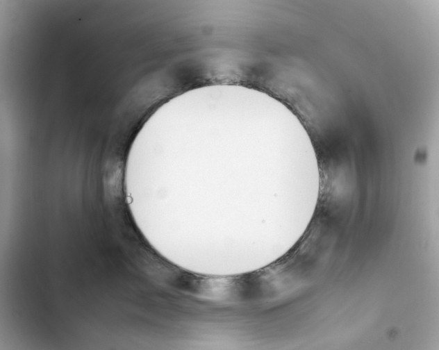 X0000101990717200808151424