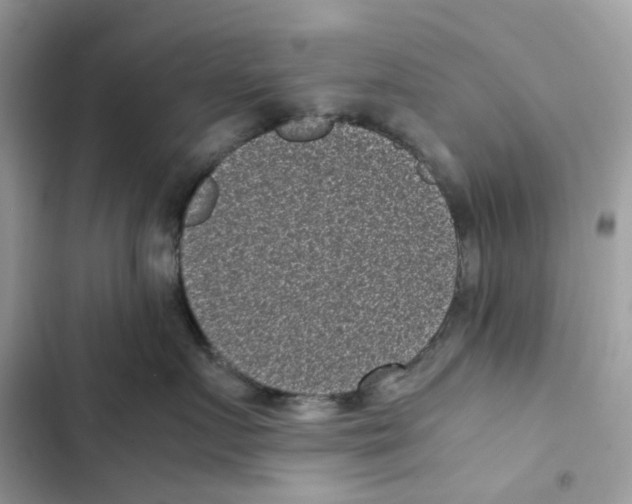 X0000101990719200808151424