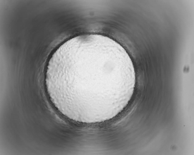 X0000101990721200808151423