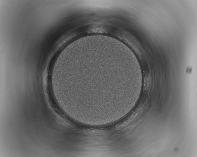 X0000101990722200808151423