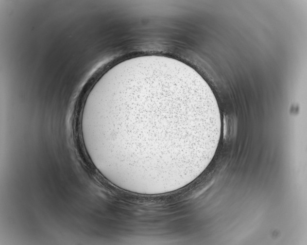 X0000101990723200808151423