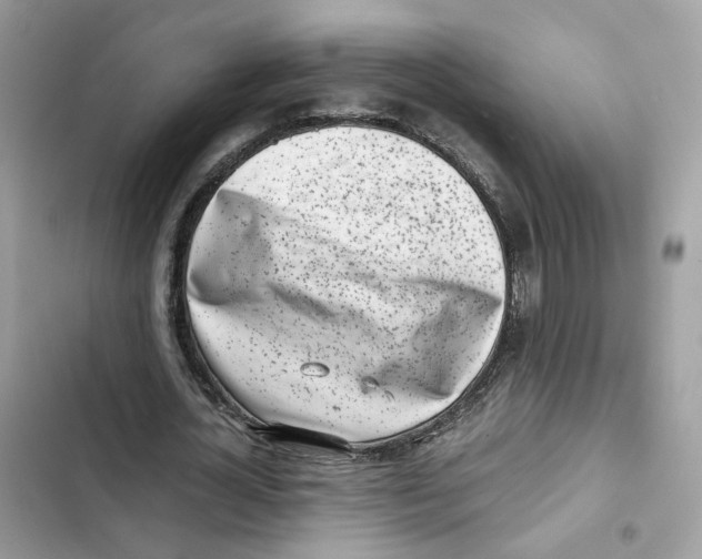 X0000101990724200808151423