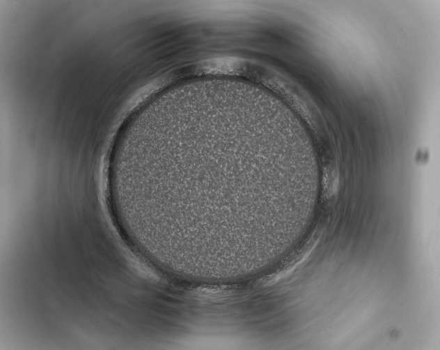 X0000101990725200808151423