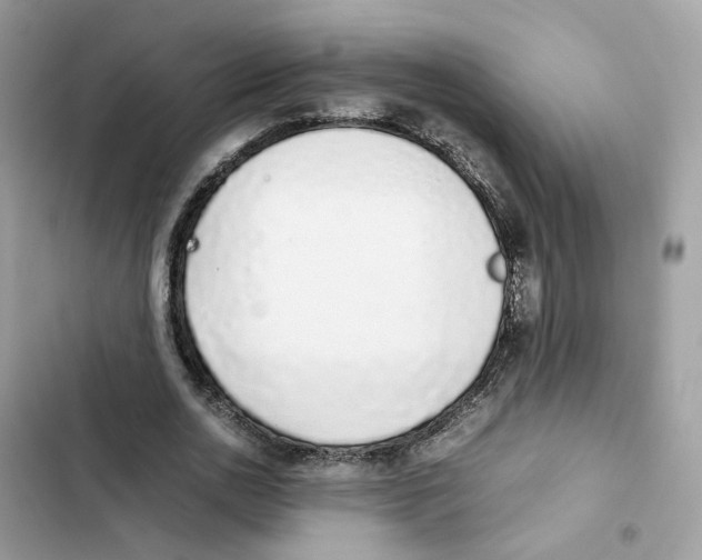X0000101990726200808151423