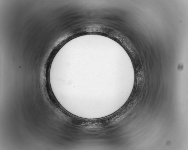 X0000101990727200808151423