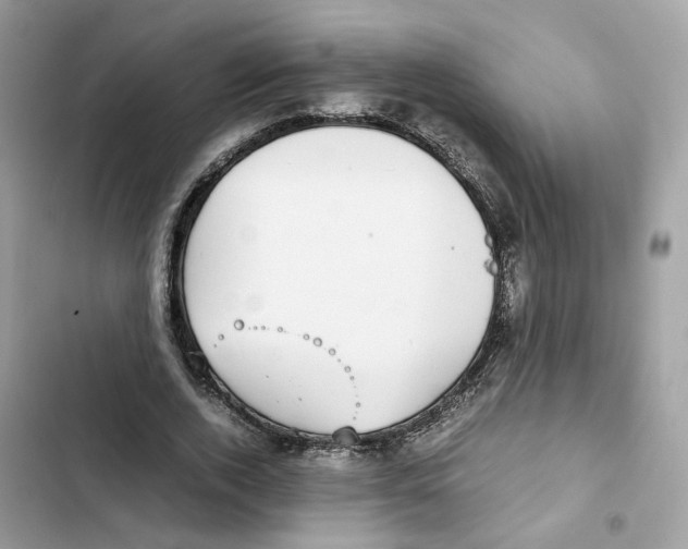 X0000101990728200808151423