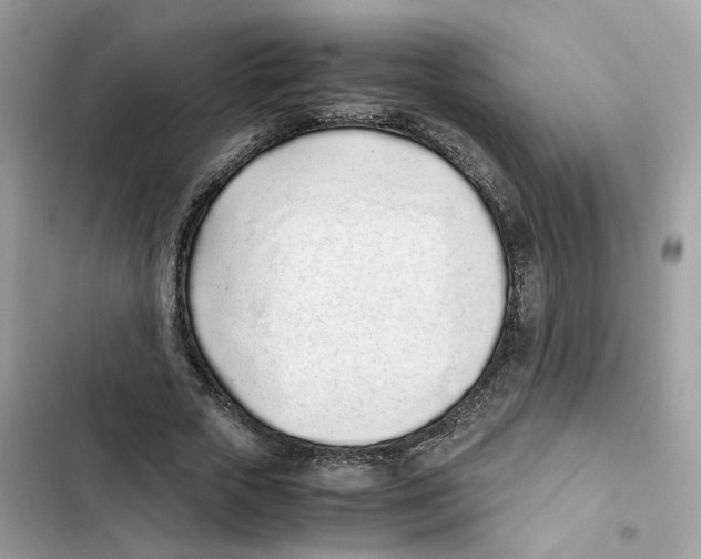 X0000101990729200808151423