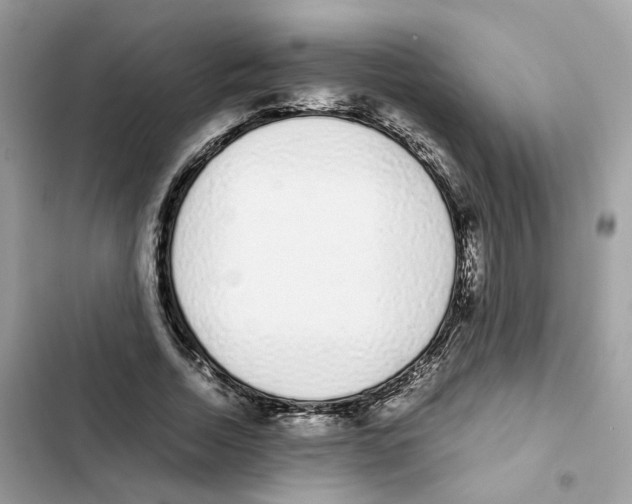X0000101990730200808151423