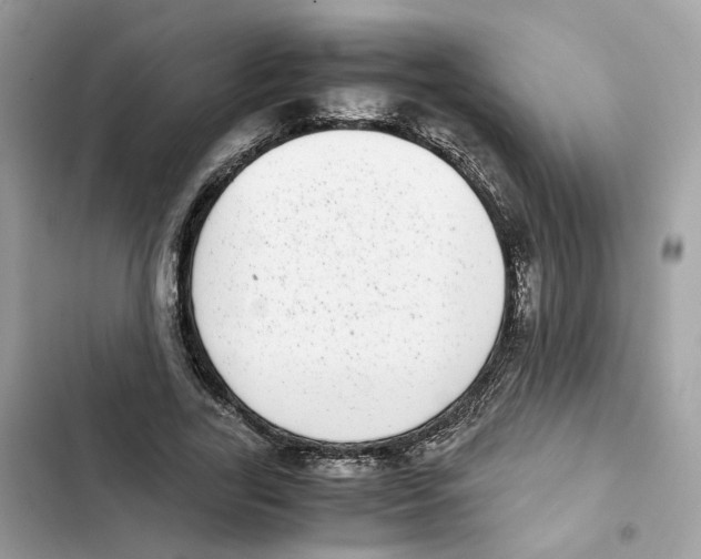 X0000101990731200808151423
