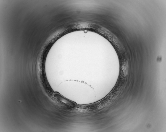 X0000101990732200808151423