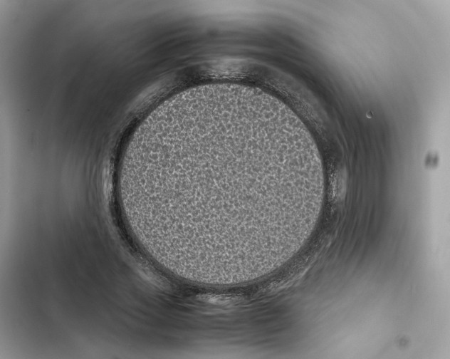 X0000101990733200808151423