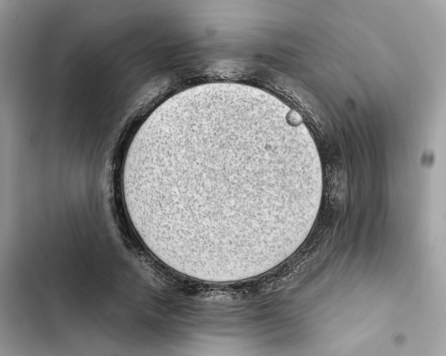 X0000101990738200808151423