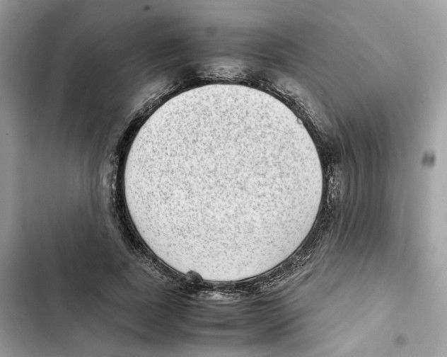 X0000101990739200808151423
