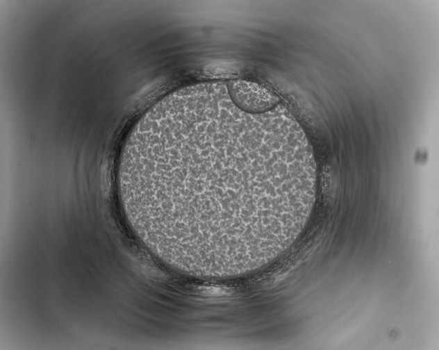X0000101990741200808151423