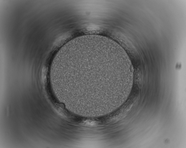 X0000101990742200808151423