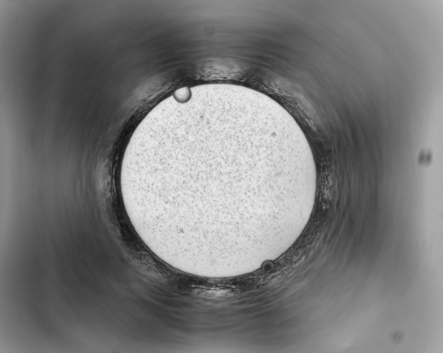 X0000101990743200808151423
